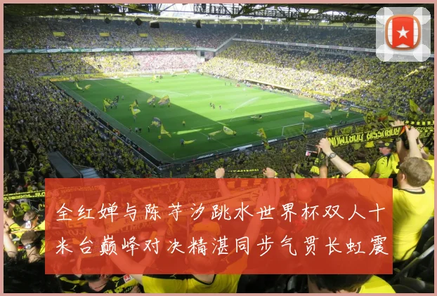 全红婵与陈芋汐跳水世界杯双人十米台巅峰对决精湛同步气贯长虹震撼全场