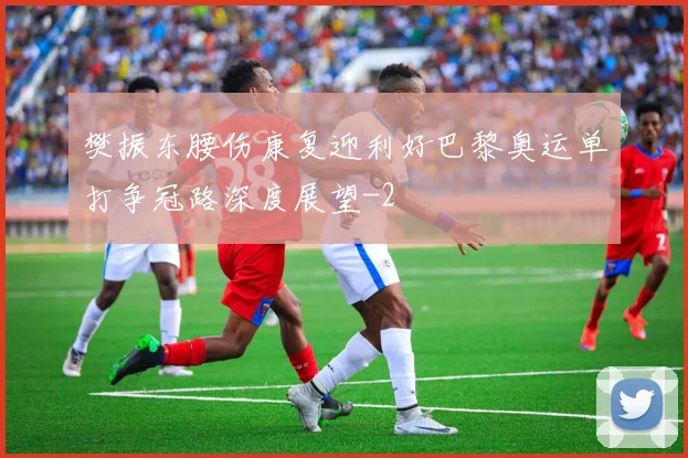 樊振东腰伤康复迎利好巴黎奥运单打争冠路深度展望